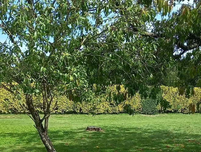 Holiday home La Commanderie Grand 10kms 