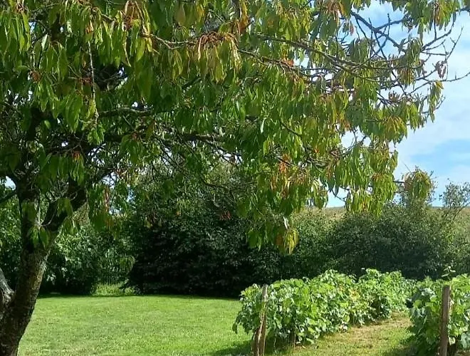 La Commanderie Grand 10kms 